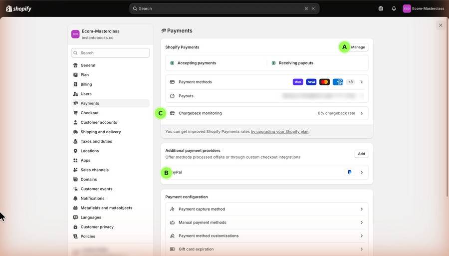Lesson screen: shopify payments