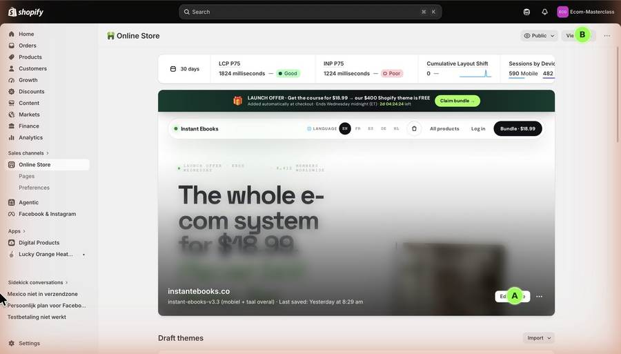 Lesson screen: shopify themes