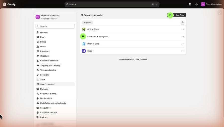Lesson screen: shopify channels